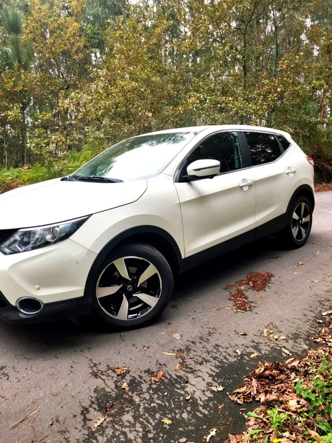 Nissan Qashqai 2016 - 15990 EUR, 153000 km - AUTO.MOTO.pt - 153000km - foto 6 de 24