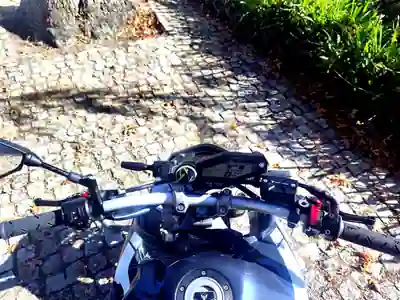 Yamaha MT 09 2014 — photo 3 of 8
