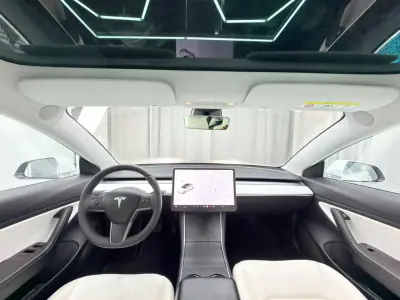 Tesla Model 3 2020 - 24500 EUR, 134000 km - AUTO.MOTO.pt - 134000km - foto 10 de 21