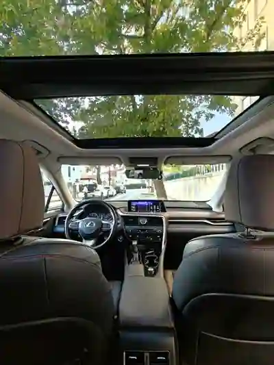 Lexus RX 350 2019 - 46000 EUR, 47000 km - AUTO.MOTO.pt - 47000km - foto 16 de 20