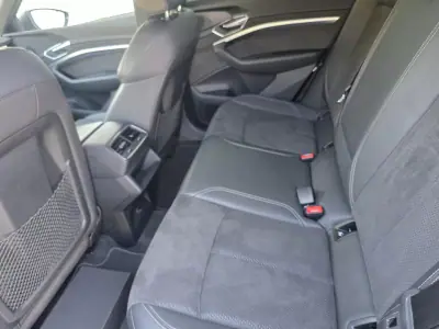 Audi e-tron 2021 - 32900 EUR, 120000 km - 120000km - foto 11 de 51