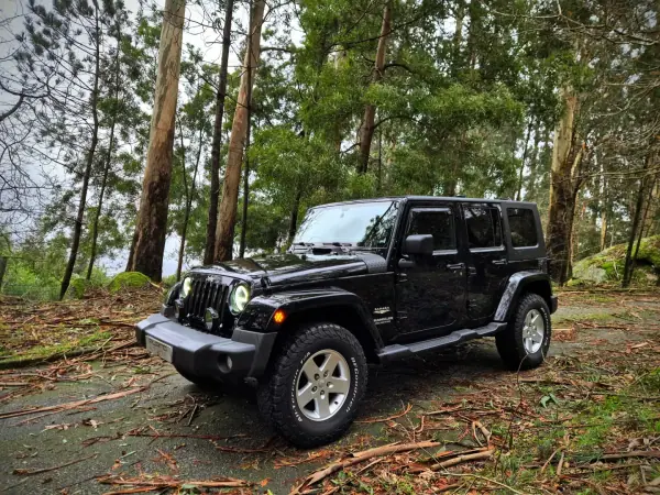 Jeep Wrangler Unlimited 2010 - 39000 EUR, 169000 km - AUTO.MOTO.pt - 169000km - foto 4 de 25