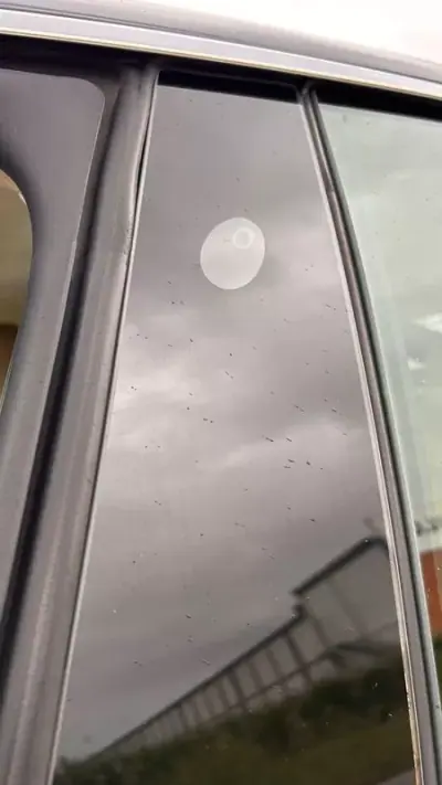 Tesla Model S 2017 - 21500 EUR, 155000 km - AUTO.MOTO.pt - 155000km - foto 9 de 17