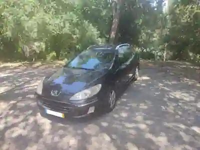 Peugeot 407 SW 2004 - 2500 EUR, 366864 km - AUTO.MOTO.pt - 366864km - foto 9 de 15
