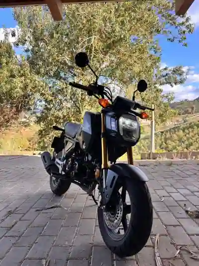 Honda Grom 2023 - 2900 EUR, 3826 km - 3826km - foto 3 de 5
