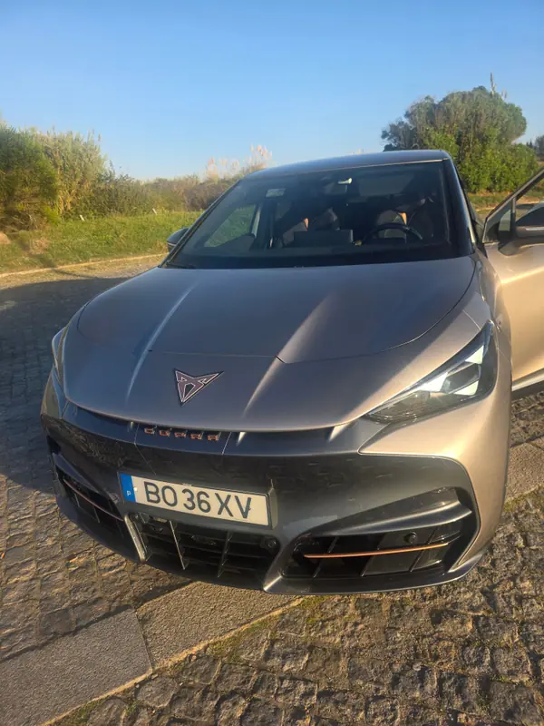 Cupra Tavascan 2024