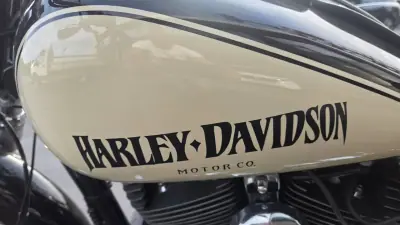 Harley-Davidson Dyna Fat Bob 2012 - 11750 EUR, 45246 km - AUTO.MOTO.pt - 45246km - foto 4 de 8