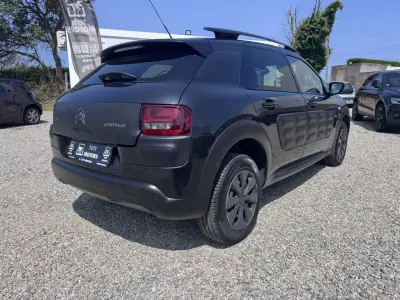 Citroën C4 Cactus 2017 - 9990 EUR, 170000 km - AUTO.MOTO.pt - 170000km - foto 4 de 20