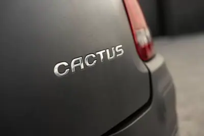 Citroën C4 Cactus 2016 - 7900 EUR, 112359 km - AUTO.MOTO.pt - 112359km - foto 7 de 22