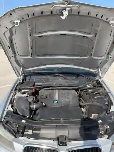 BMW 318 2010 - 8750 EUR, 233000 km - AUTO.MOTO.pt - 233000km - foto 10 de 10