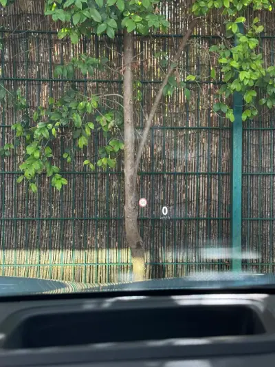 Smart 3 2024 - 34900 EUR, 23500 km - 23500km - foto 15 de 39