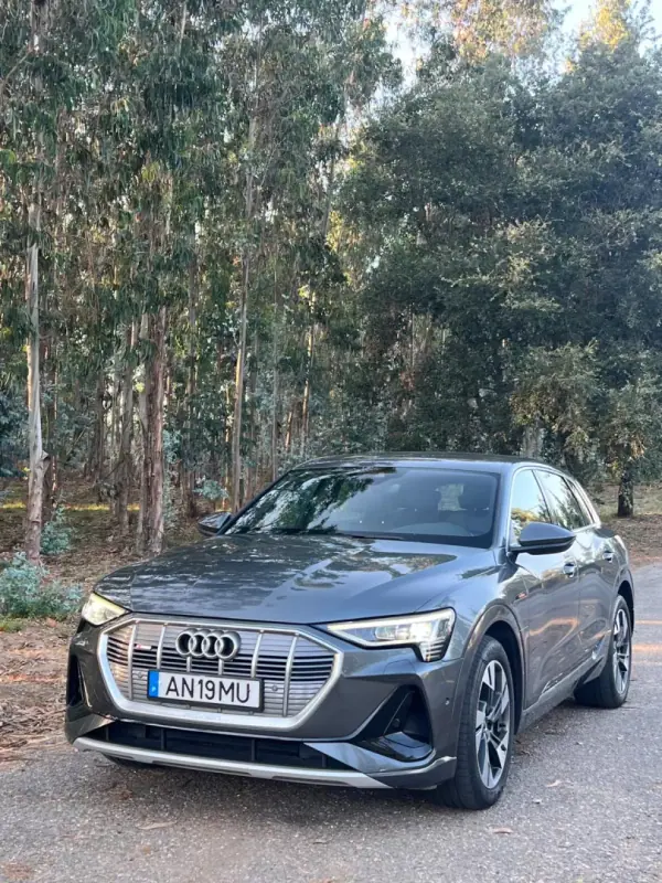 Audi e-tron 2022 - 34750 EUR, 131000 km - AUTO.MOTO.pt - 131000km - foto 10 de 50