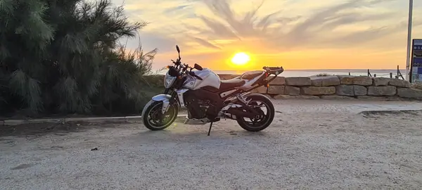 Yamaha FZ1-N 2009 Petrol
