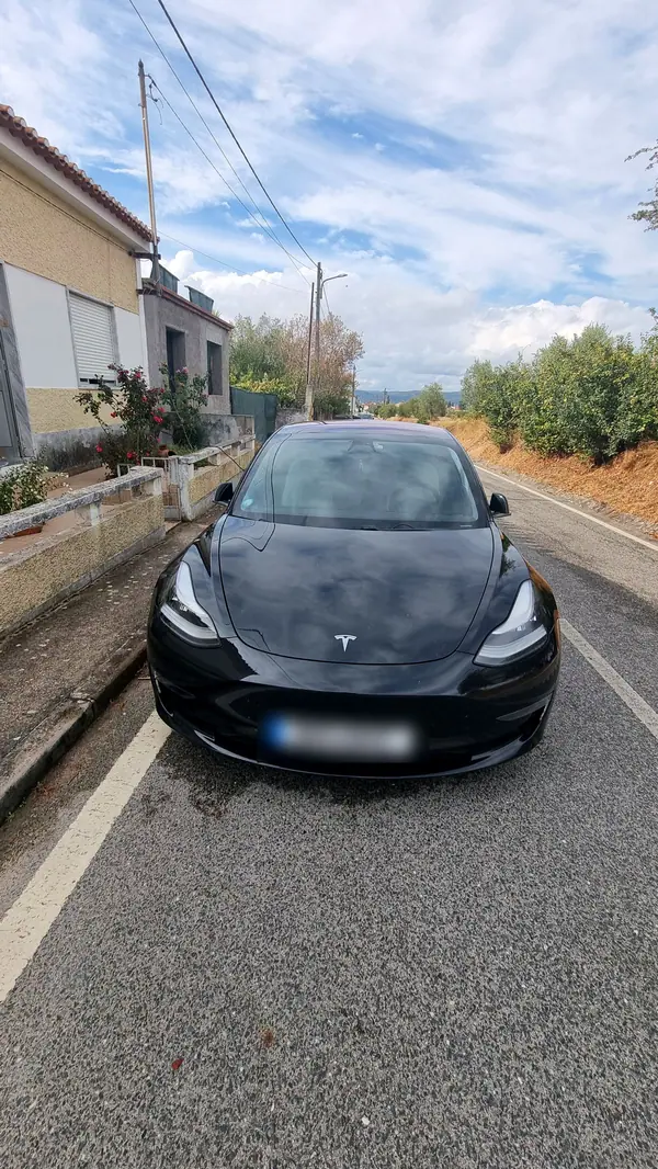 Tesla Model 3 Long Range AWD Dual Motor Performance 2019 Elétrico