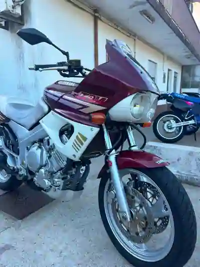 Yamaha MT 09 1997 - 3250 EUR, 70000 km - foto 5 de 12