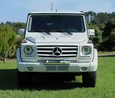 Mercedes-Benz GELANDEWAGEN 2009 - 57000 EUR, 456000 km - foto 3 de 15