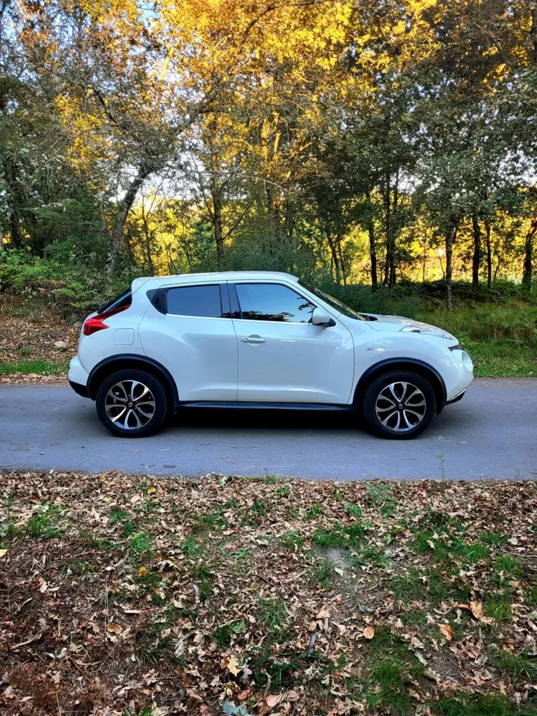 Nissan Juke 2014 - 11990 EUR, 168500 km - AUTO.MOTO.pt - 168500km - foto 7 de 25