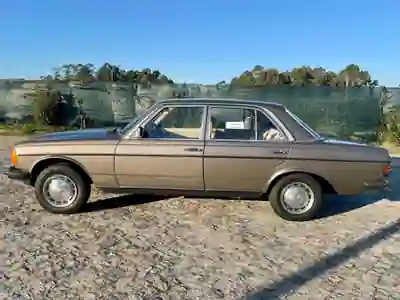 Mercedes-Benz 200 1970 - 8000 EUR, 264000 km - AUTO.MOTO.pt - 264000km - foto 3 de 10