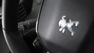Peugeot e-208 2021 - 16350 EUR, 46000 km - AUTO.MOTO.pt - 46000km - foto 20 de 32