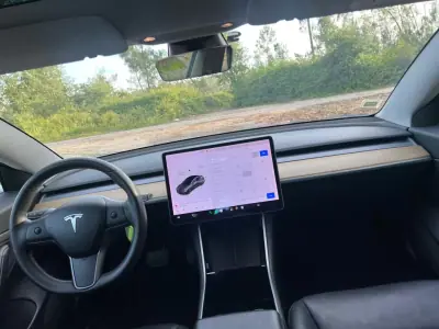Tesla Model 3 2020 - 21900 EUR, 161211 km - AUTO.MOTO.pt - 161211km - foto 15 de 29