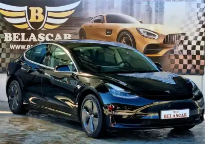 Tesla Model 3 2020 - 22900 EUR, 123000 km - AUTO.MOTO.pt - 123000km - foto 14 de 16