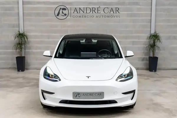 Tesla Model 3 2021 - 27450 EUR, 33801 km - AUTO.MOTO.pt - 33801km - foto 3 de 48