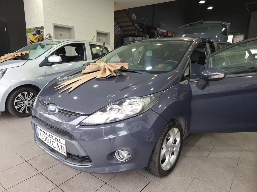 Ford Fiesta 2012 - 6900 EUR, 163718 km - AUTO.MOTO.pt - 163718km - foto 19 de 24