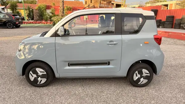 BAW Pony PONY 2025 Electric
