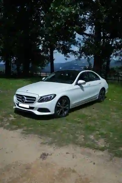 Mercedes-Benz C 220 2017 - 20900 EUR, 174000 km - AUTO.MOTO.pt - 174000km - foto 2 de 31