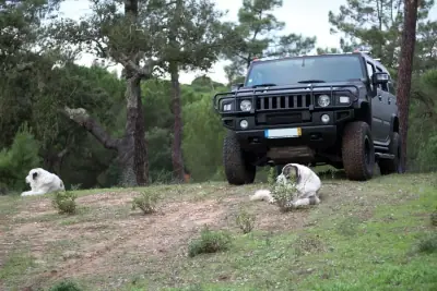 Hummer H2 2006 - 48800 EUR, 75250 km - AUTO.MOTO.pt - 75250km - foto 26 de 39
