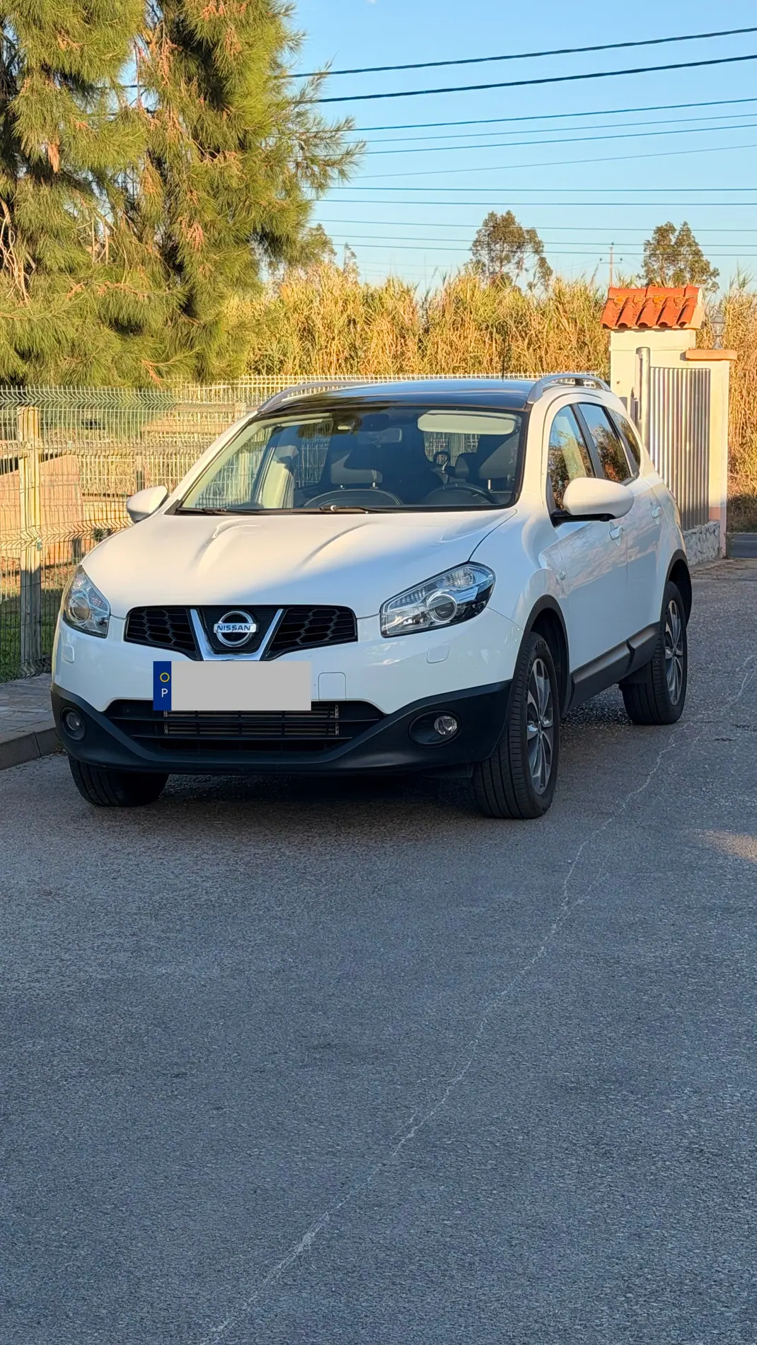 Nissan Qashqai +2 2013