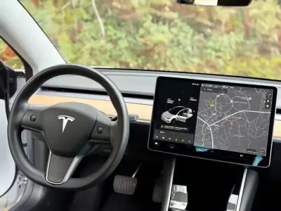 Tesla Model 3 2020 - 22000 EUR, 101000 km - AUTO.MOTO.pt - 101000km - foto 13 de 17