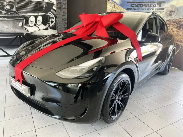 Tesla Model Y RWD 2023 Electric