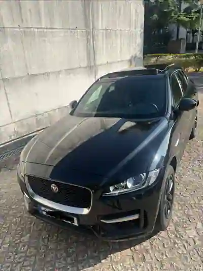 Jaguar F-Pace 2019 - 22900 EUR, 98500 km - 98500km - foto 5 de 13