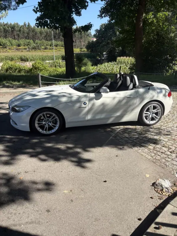 BMW Z4 23 i 2009 Petrol