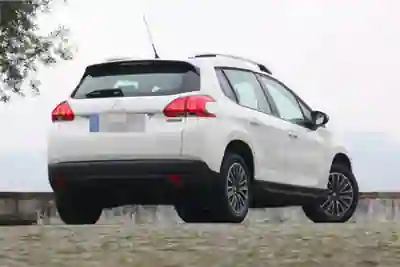 Peugeot 2008 2015 — foto 6 de 15