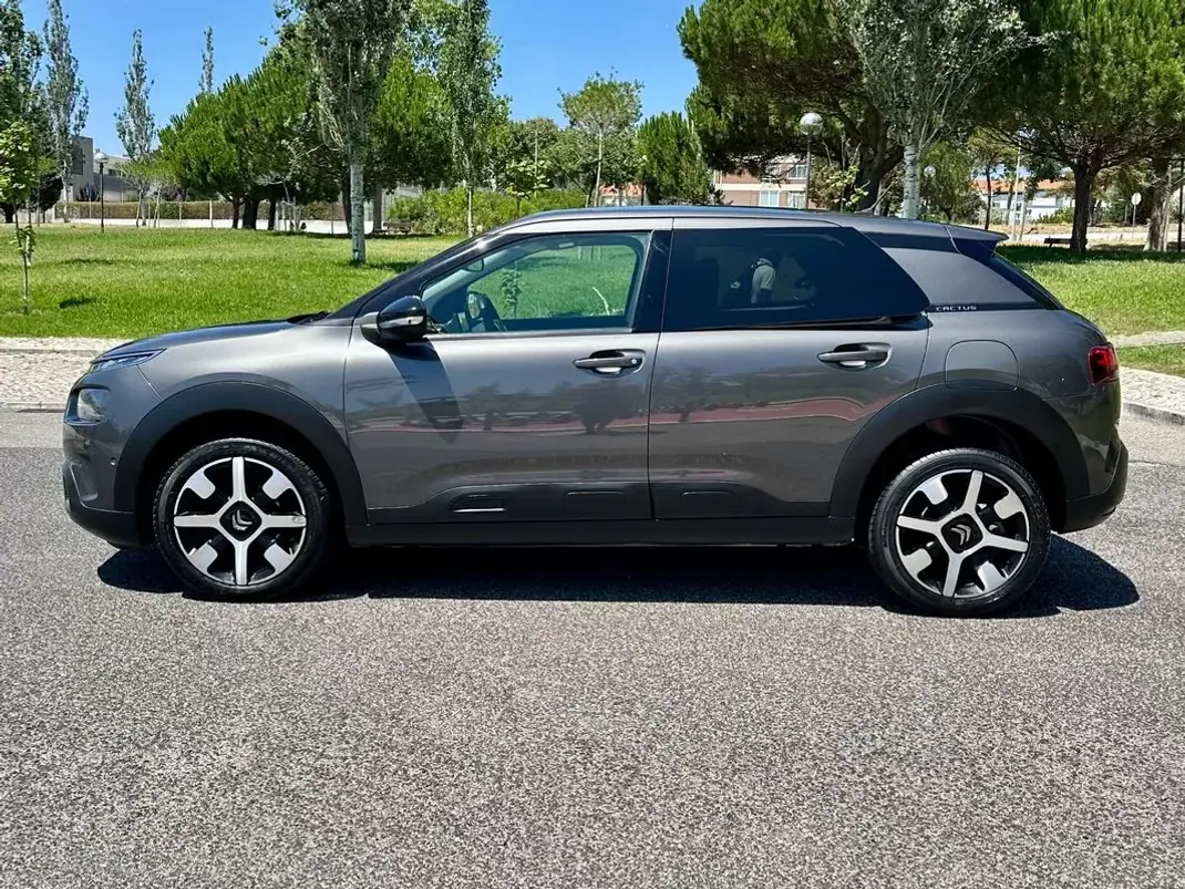 Citroën C4 Cactus 2019 - 11990 EUR, 119000 km - 119000km - foto 5 de 41