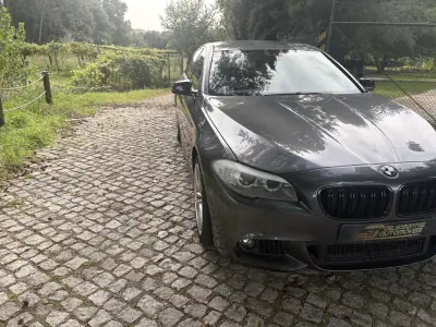 BMW 530 2013 - 16900 EUR, 230000 km - foto 5 de 12