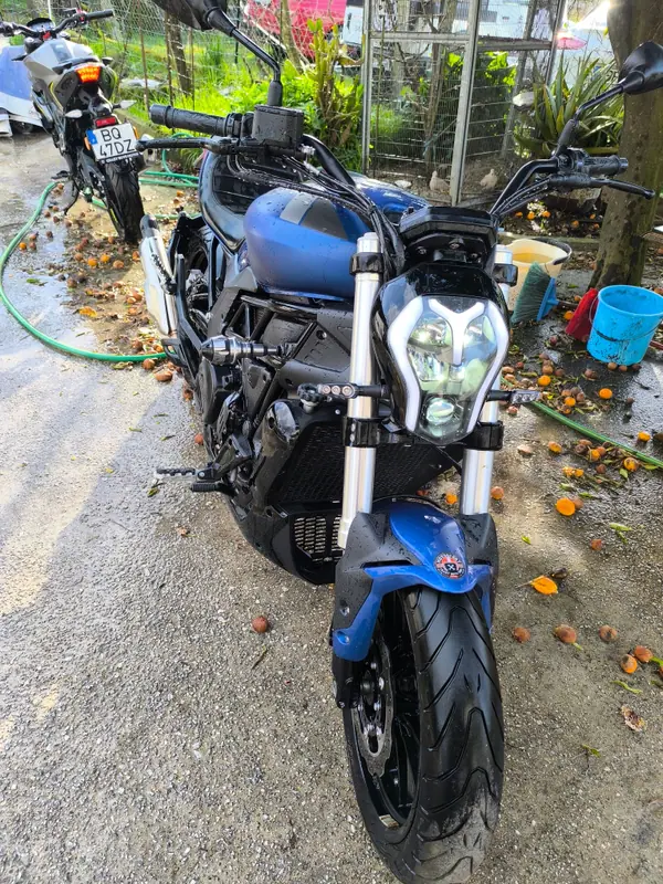 Benelli TRK 502 2019 Petrol