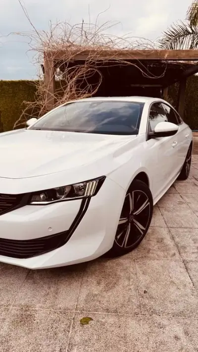 Peugeot 508 2020 - 21250 EUR, 112937 km - AUTO.MOTO.pt - 112937km - foto 16 de 23