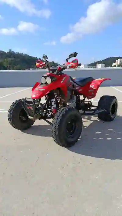 Honda TRX 2004 - 3800 EUR, 1500 km - 1500km - foto 7 de 8