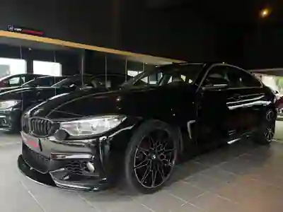 BMW 420 2015 - 27500 EUR, 189000 km - 189000km - foto 5 de 9