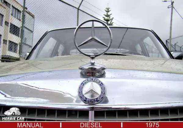 Mercedes-Benz 220 1975 - 12500 EUR, 31373 km - AUTO.MOTO.pt - 31373km - foto 4 de 20