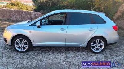 SEAT Ibiza ST 2010 — photo 2 of 26