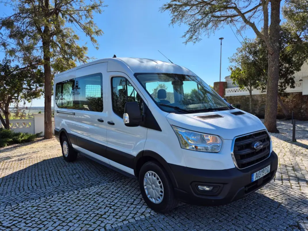 Ford Transit 2021 - 28900 EUR, 160001 km - AUTO.MOTO.pt - 160001km - foto 17 de 18