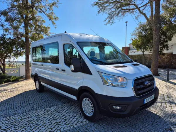 Ford Transit 2021 - 28900 EUR, 160001 km - AUTO.MOTO.pt - 160001km - foto 17 de 18