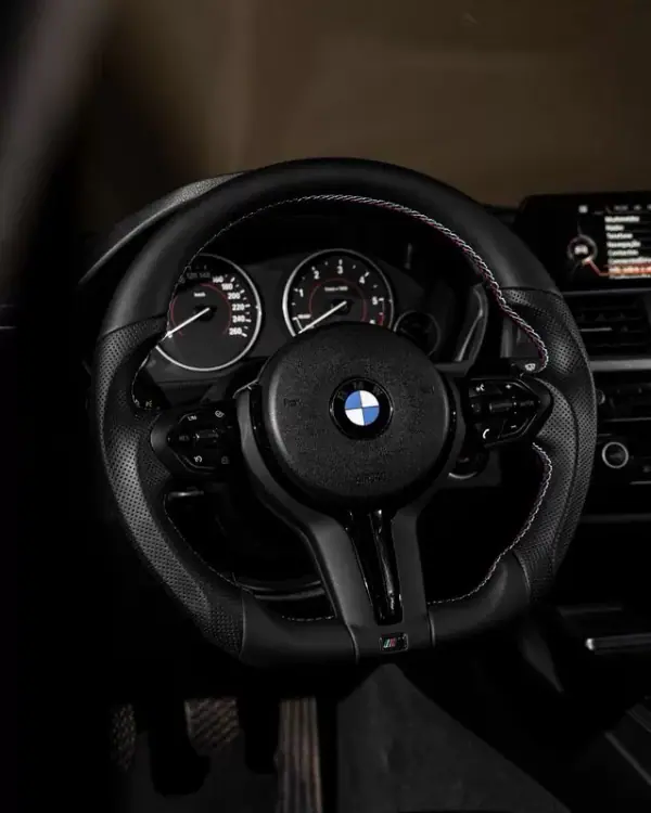 BMW 318 2016 - 19450 EUR, 192000 km - AUTO.MOTO.pt - 192000km - foto 11 de 29