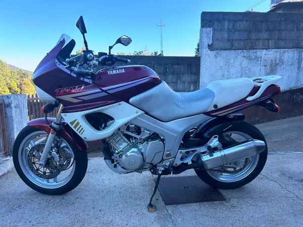 Yamaha MT 09 TDM-850 1997 Petrol