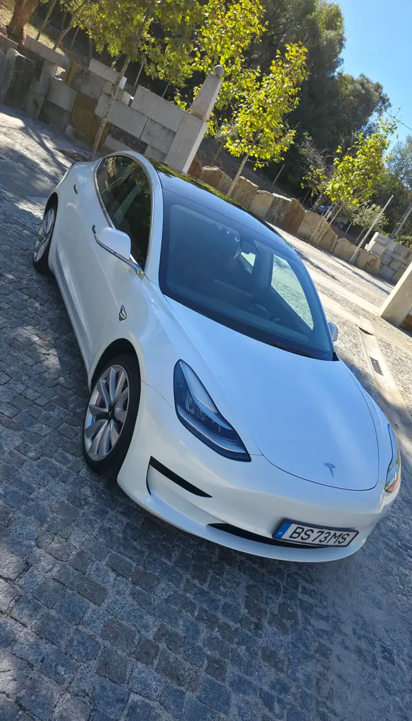 Tesla Model 3 2019