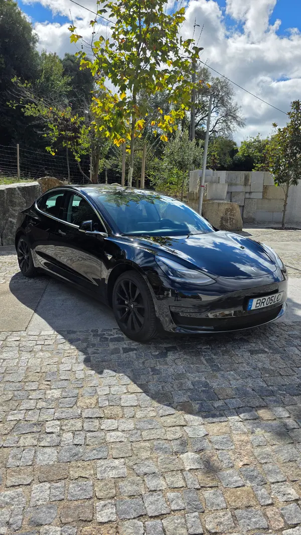 Tesla Model 3 2019
